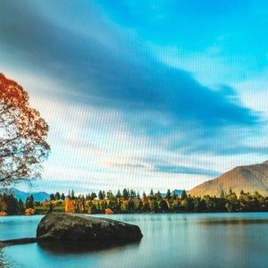 Meet your Posher, Misty